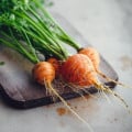 Mrkev kulatá k rychlení Pariser Markt 4 - Daucus carota - osivo mrkve - 500 ks