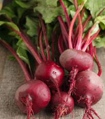 Řepa Ägyptische Plattrunde - Beta vulgaris - osivo řepy - 50 ks