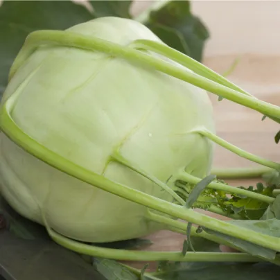 Kedluben obří Superschmelz - Brassica oleracea - osivo kedlubny - 150 ks