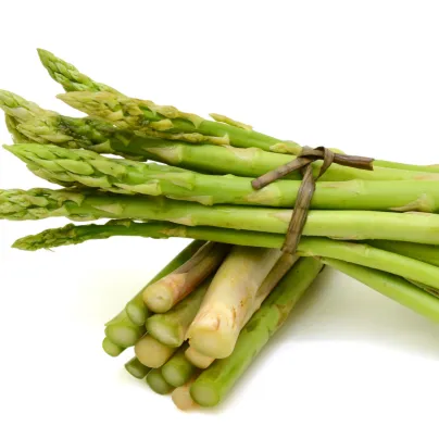 Chřest lékařský Mary Washington - Asparagus officinalis - osivo chřestu - 20 ks