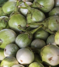 Lilek Zelené jablko - Solanum melongena - osivo lilku - 6 ks