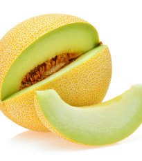 Meloun Galia Exelor F1 - Cucumis Melo - osivo melounu - 5 ks