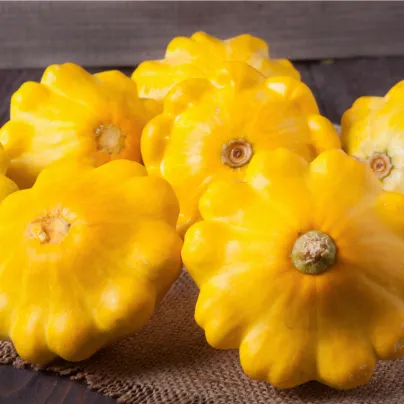 Patizon Golden Marbre - Cucurbita pepo - osivo patizonu - 5 ks