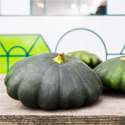 Patizon Green Saucer F1 - Cucurbita pepo - osivo patizonu - 5 ks