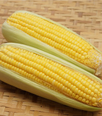 Kukuřice cukrová mořená Snowbaby - Zea Mays - osivo kukuřice - 16 ks