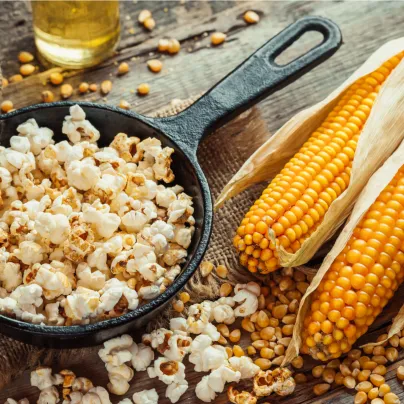 Kukuřice pukancová Nana F1 - Zea mays - osivo kukuřice - 15 ks