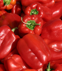 Paprika Roberta F1 - Capsicum annuum - osivo papriky - 6 ks