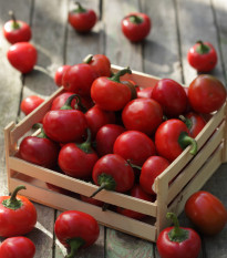 Paprika Red Cherry - Capsicum annuum - osivo papriky - 7 ks