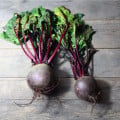 BIO Řepa červená Detroit 2 - Beta vulgaris var. vulgaris - bio osivo řepy - 50 ks
