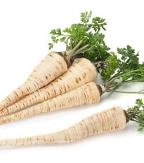 Petržel Konika - Petroselinum crispum - osivo petržele - 700 ks