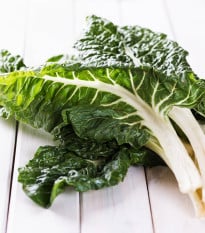 Mangold Verte a Carde Blanche 2 - Beta vulgaris - osivo mangoldu - 50 ks