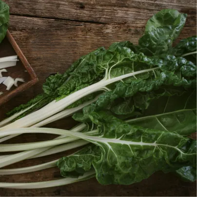 Mangold Lucullus - Beta vulgaris - osivo mangoldu - 100 ks
