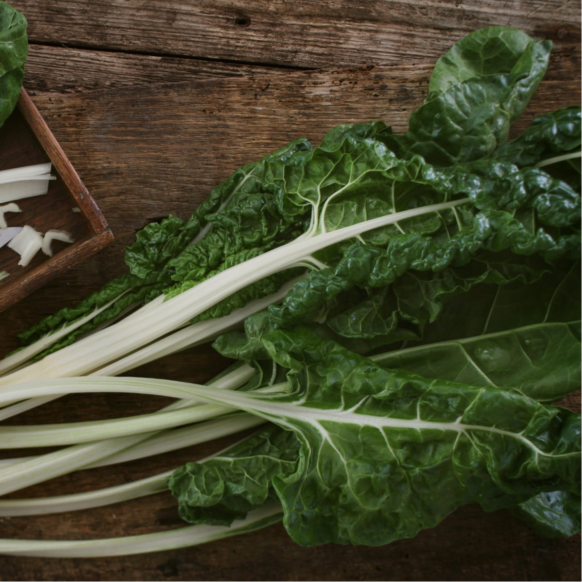 Mangold Lucullus - Beta vulgaris - osivo mangoldu - 100 ks