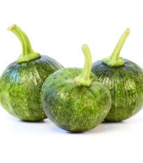 Cuketa Tondo di Nizza - Cucurbita pepo - osivo cukety - 5 ks