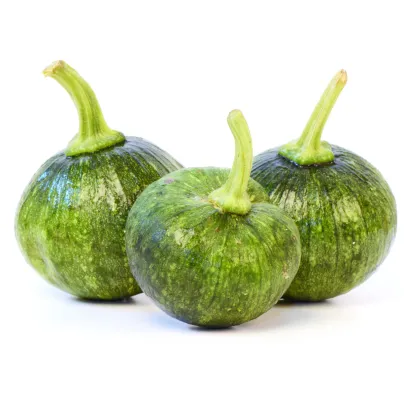 Cuketa Tondo di Nizza - Cucurbita pepo - osivo cukety - 5 ks