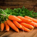 Mrkev Rotin - Daucus carota - osivo mrkve - 1,5 gr