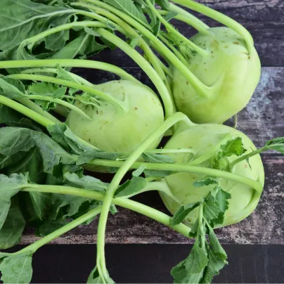 BIO Kedluben Noriko - Brassica Oleracea Convar. Gongylodes - bio osivo kedlubny - 80 ks