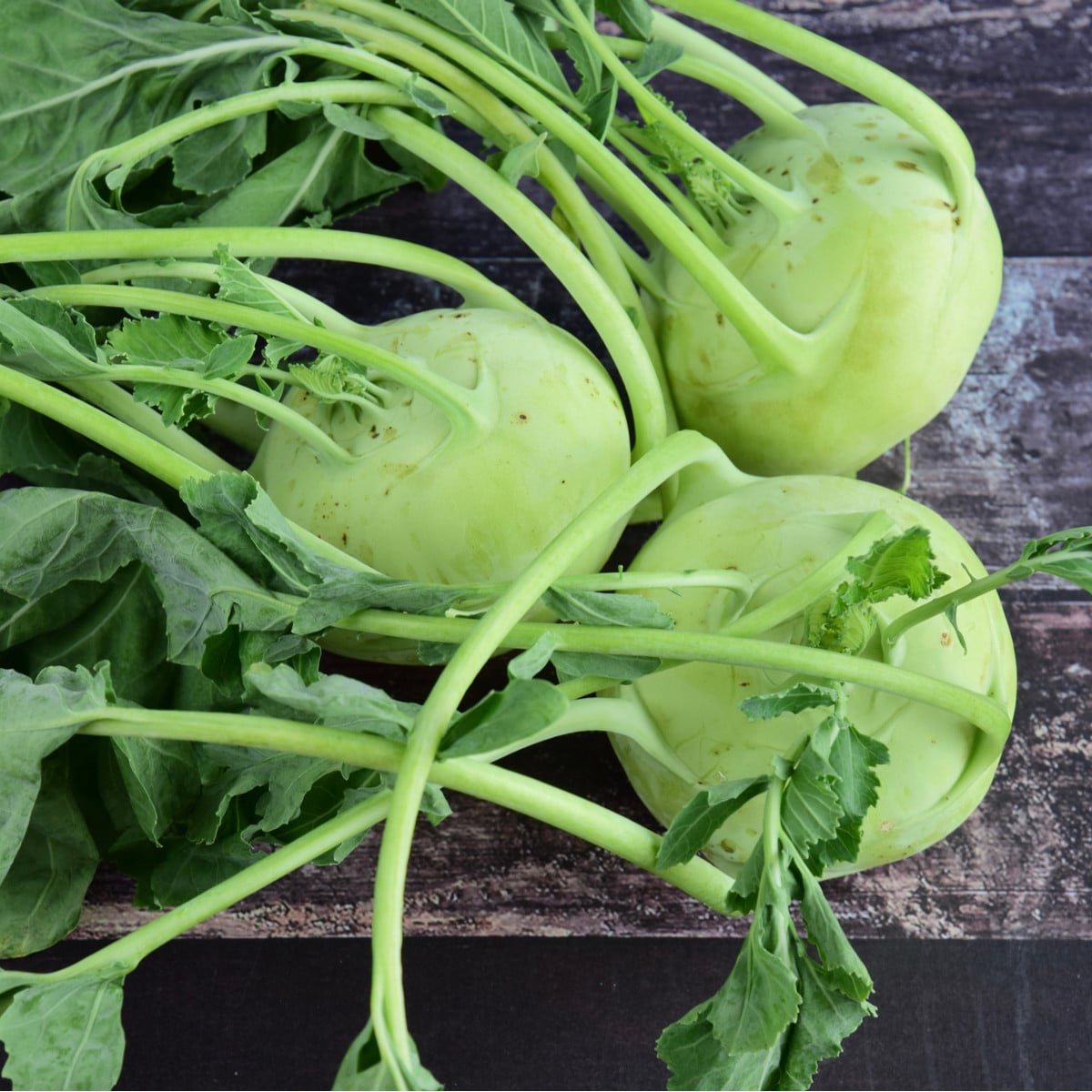 BIO Kedluben Noriko - Brassica Oleracea Convar. Gongylodes - bio osivo kedlubny - 80 ks