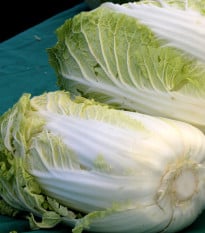 Zelí pekingské Granaat - Brassica pekinensis - osivo zelí - 200 ks