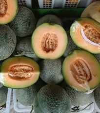 Meloun Emir F1 - Cucumis Melo - osivo melounu - 6 ks