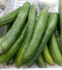 BIO Okurka salátová Kalunga F1 - Cucumis sativus - bio osivo okurky - 4 ks