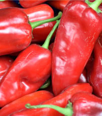 BIO Paprika Atris F1 - Capsicum Annuum L. - bio osivo papriky - 5 ks