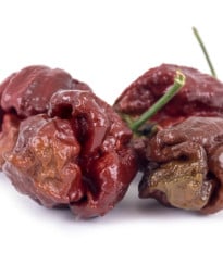 Chilli Trinidad Scorpion Moruga Chocolate - Capsicum chinense - osivo chilli - 5 ks