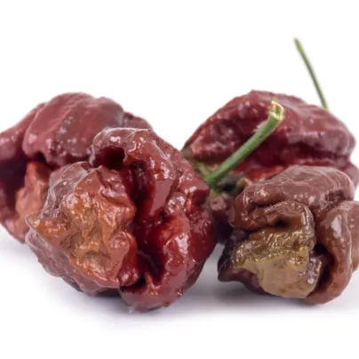 Chilli Trinidad Scorpion Moruga Chocolate - Capsicum chinense - osivo chilli - 5 ks