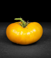 Rajče Azoychka - Solanum lycopersicum - osivo rajčat - 8 ks