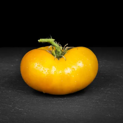 Rajče Azoychka - Solanum lycopersicum - osivo rajčat - 8 ks