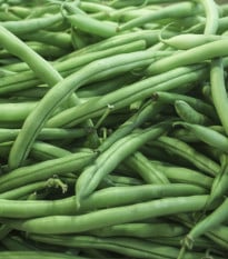 Fazole keříčková Negra - Phaseolus vulgaris - osivo fazole - 10 ks