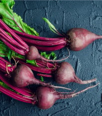 BIO Řepa Ägyptische Plattrunde - Beta vulgaris - bio osivo řepy - 50 ks
