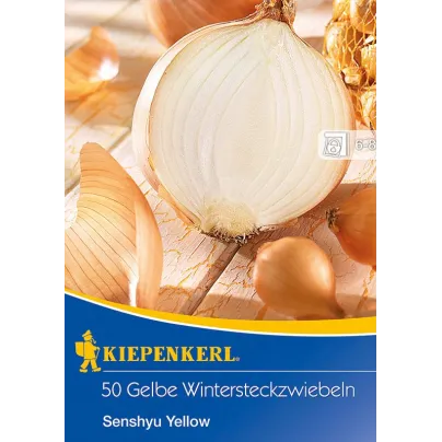 Cibule sazečka ozimá Senshyu Yellow - Allium cepa - cibulky sazečky - 50 ks
