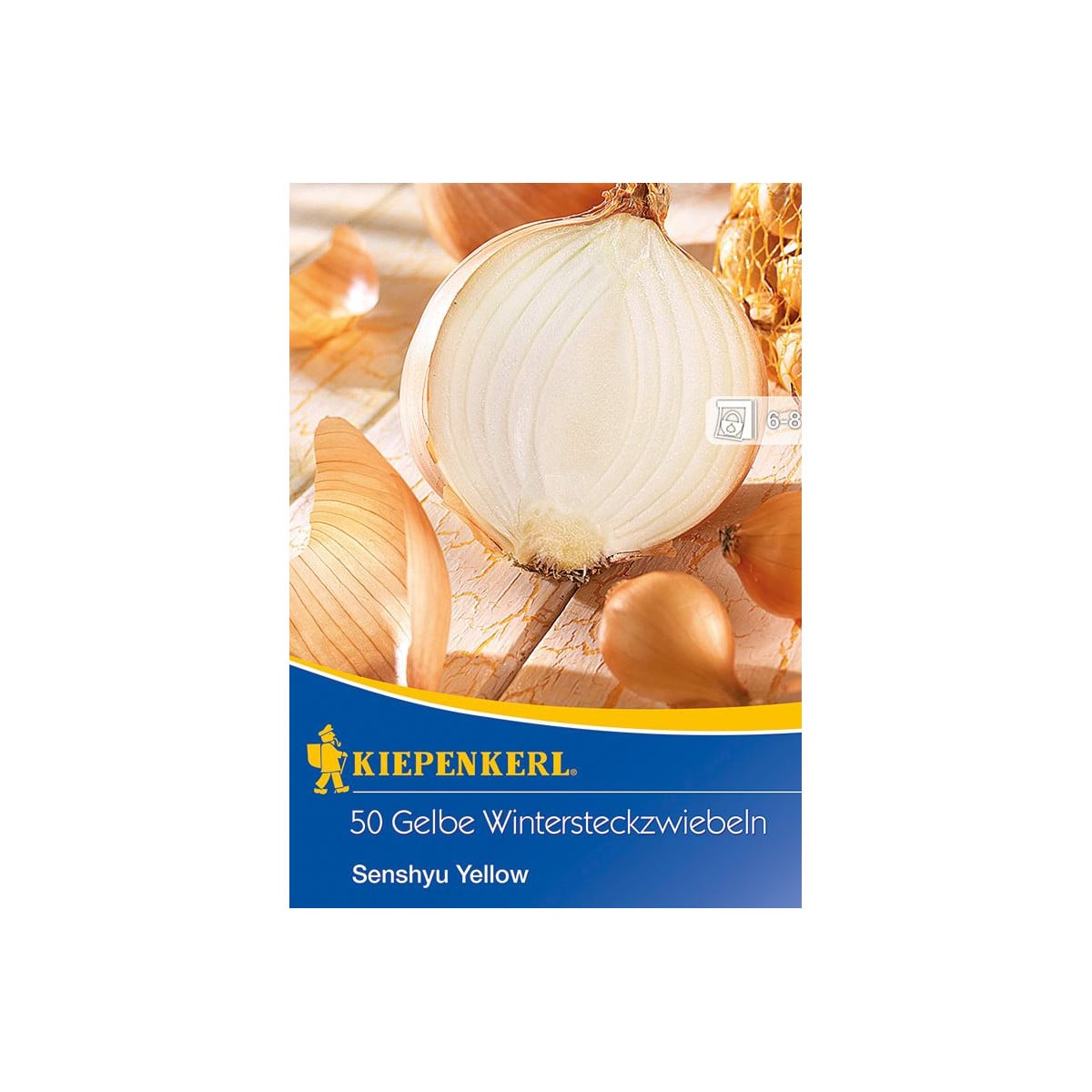 Cibule sazečka ozimá Senshyu Yellow - Allium cepa - cibulky sazečky - 50 ks