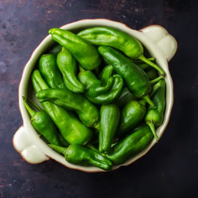 Chilli Pimentos de Padron - Capsicum annuum - osivo chilli - 7 ks