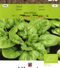 BIO Špenát Geant d'hiver - Spinacia oleracea - bio osivo špenátu - 10 g