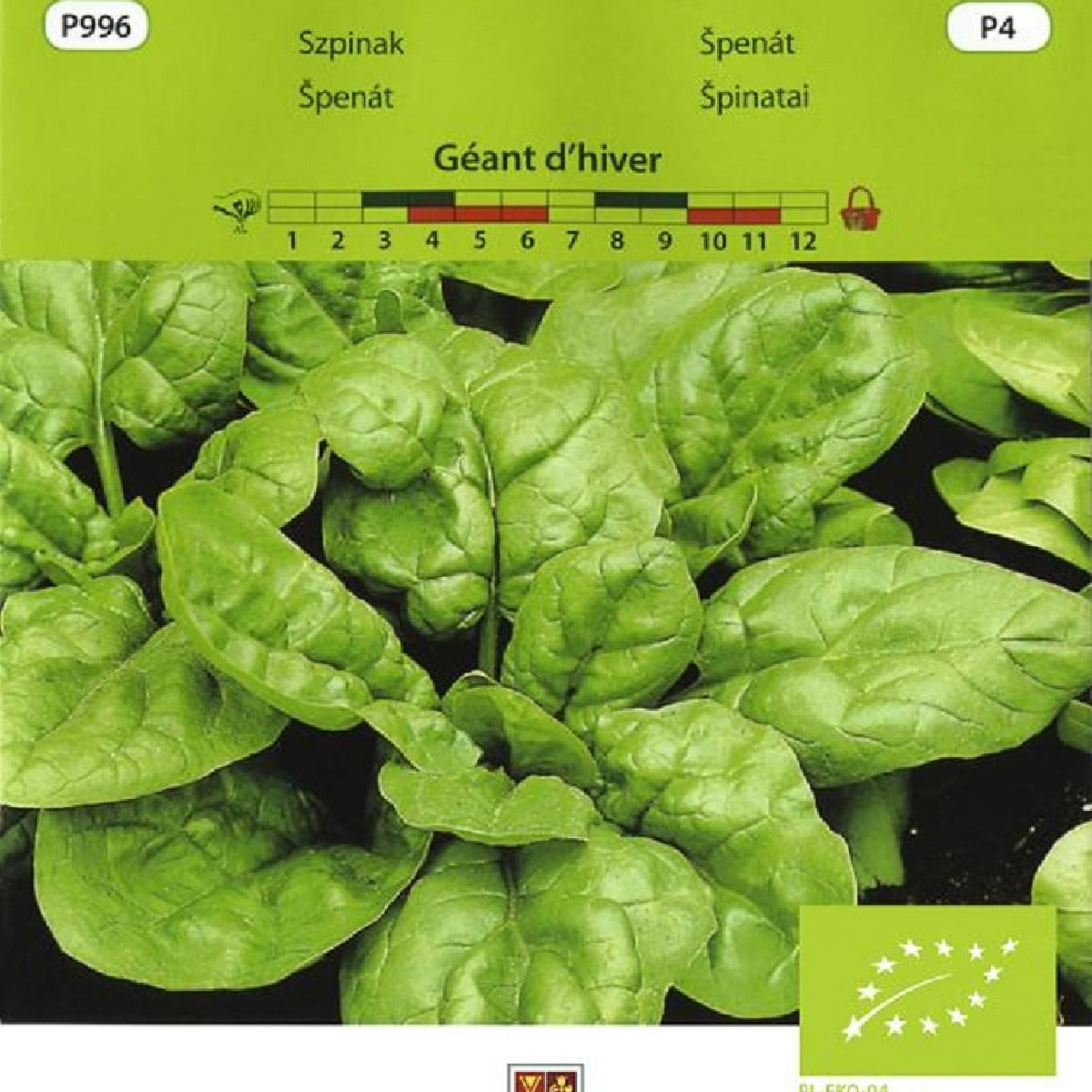 BIO Špenát Geant d'hiver - Spinacia oleracea - bio osivo špenátu - 10 g