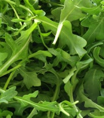 BIO Divoká roketa Wild rocket - Diplotaxis tenuiflora - bio osivo rokety - 250 ks
