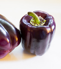 Paprika Zulu - Capsicum Annuum - osivo papriky - 10 ks