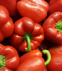 Paprika červená Babybell - Capsicum Annuum - osivo papriky - 8 ks