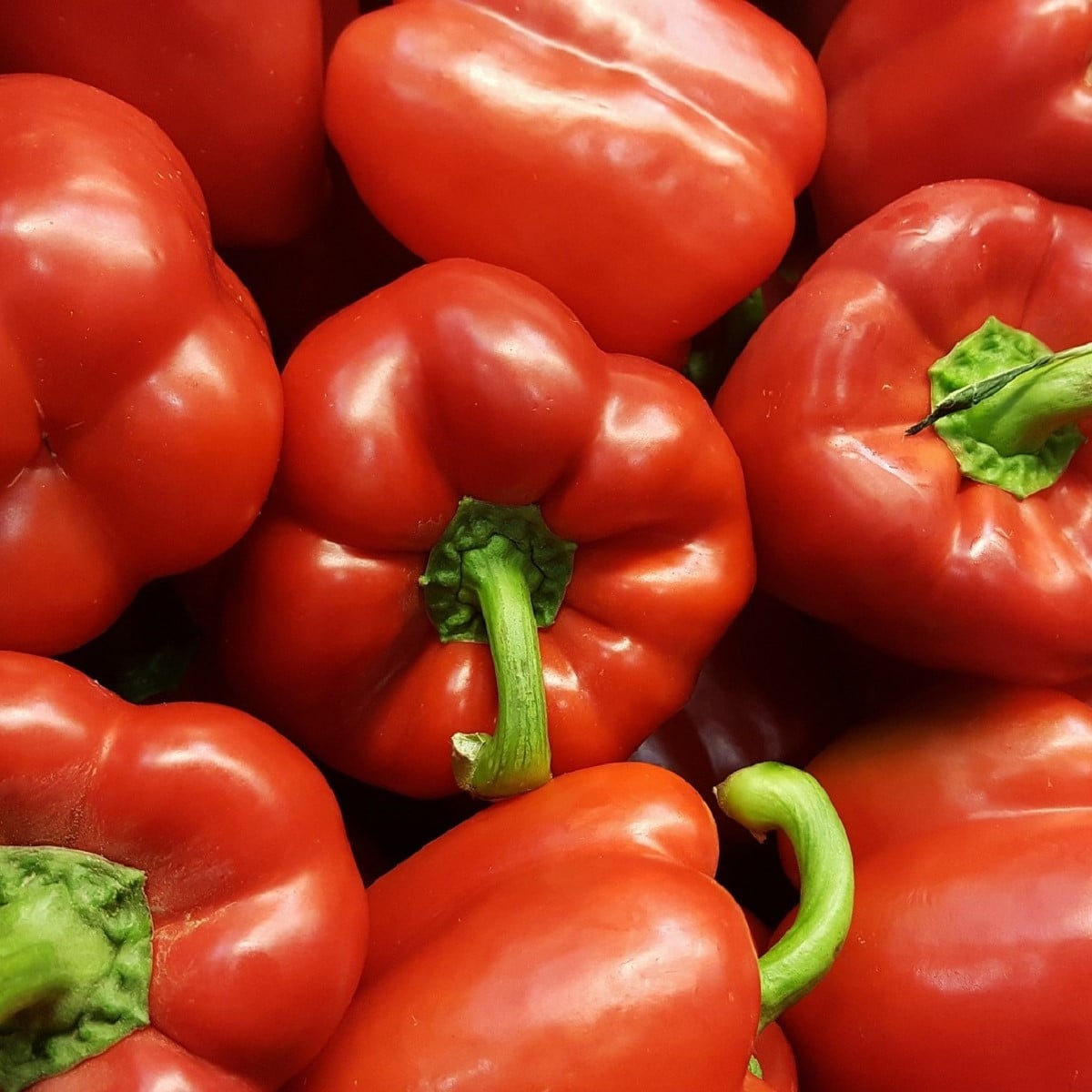 Paprika červená Babybell - Capsicum Annuum - osivo papriky - 8 ks