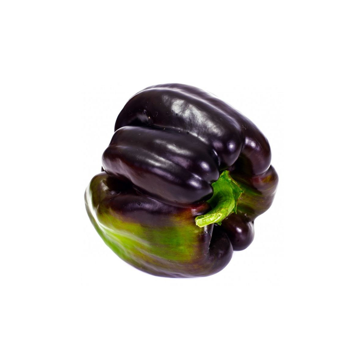 Paprika Zulu - Capsicum Annuum - osivo papriky - 10 ks