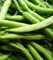 Fazole tyčková Neckarkönigin - Phaseolus vulgaris - osivo fazole - 30 ks