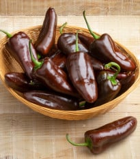 BIO Paprika Chocobell - Capsicum annuum - bio osivo papriky - 8 ks