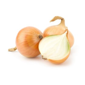 Cibule jarní