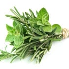 Aromatické koření
