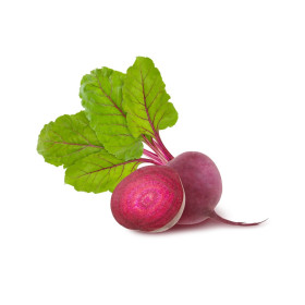Řepa