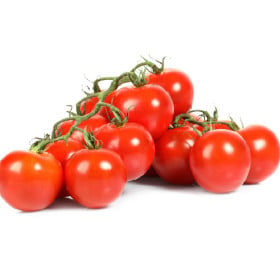 Rajčata odolná proti plísni