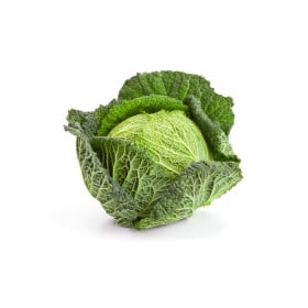 Kapusta