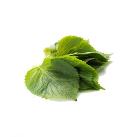 Perila